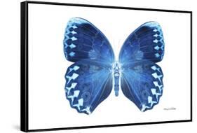 Miss Butterfly Formosana - X-Ray White Edition-Philippe Hugonnard-Framed Stretched Canvas