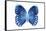 Miss Butterfly Formosana - X-Ray White Edition-Philippe Hugonnard-Framed Stretched Canvas