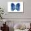 Miss Butterfly Formosana - X-Ray White Edition-Philippe Hugonnard-Stretched Canvas displayed on a wall