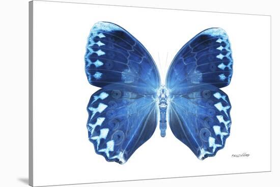 Miss Butterfly Formosana - X-Ray White Edition-Philippe Hugonnard-Stretched Canvas