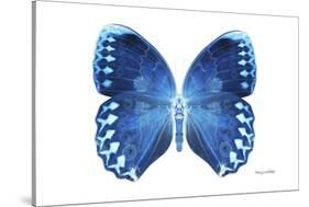 Miss Butterfly Formosana - X-Ray White Edition-Philippe Hugonnard-Stretched Canvas