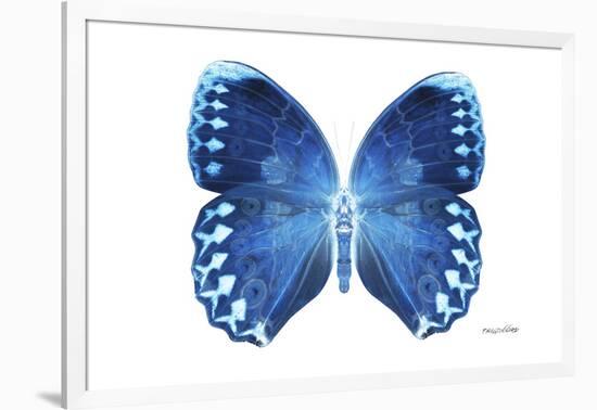 Miss Butterfly Formosana - X-Ray White Edition-Philippe Hugonnard-Framed Photographic Print