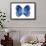 Miss Butterfly Formosana - X-Ray White Edition-Philippe Hugonnard-Framed Photographic Print displayed on a wall