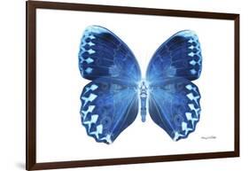 Miss Butterfly Formosana - X-Ray White Edition-Philippe Hugonnard-Framed Photographic Print