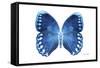 Miss Butterfly Formosana - X-Ray White Edition-Philippe Hugonnard-Framed Stretched Canvas