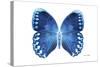 Miss Butterfly Formosana - X-Ray White Edition-Philippe Hugonnard-Stretched Canvas