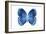 Miss Butterfly Formosana - X-Ray White Edition-Philippe Hugonnard-Framed Photographic Print