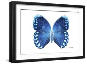 Miss Butterfly Formosana - X-Ray White Edition-Philippe Hugonnard-Framed Photographic Print