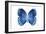 Miss Butterfly Formosana - X-Ray White Edition-Philippe Hugonnard-Framed Photographic Print