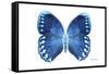 Miss Butterfly Formosana - X-Ray White Edition-Philippe Hugonnard-Framed Stretched Canvas