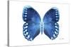 Miss Butterfly Formosana - X-Ray White Edition-Philippe Hugonnard-Stretched Canvas