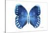 Miss Butterfly Formosana - X-Ray White Edition-Philippe Hugonnard-Stretched Canvas