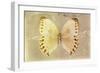 Miss Butterfly Formosana - Yellow & Dark Beige-Philippe Hugonnard-Framed Photographic Print