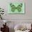 Miss Butterfly Genutia - Green-Philippe Hugonnard-Photographic Print displayed on a wall