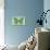 Miss Butterfly Genutia - Green-Philippe Hugonnard-Photographic Print displayed on a wall