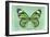 Miss Butterfly Genutia - Green-Philippe Hugonnard-Framed Photographic Print