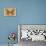 Miss Butterfly Genutia - Honey-Philippe Hugonnard-Photographic Print displayed on a wall