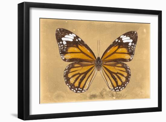 Miss Butterfly Genutia - Honey-Philippe Hugonnard-Framed Photographic Print