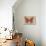 Miss Butterfly Genutia - Orange-Philippe Hugonnard-Photographic Print displayed on a wall