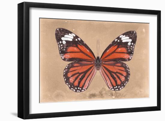 Miss Butterfly Genutia - Orange-Philippe Hugonnard-Framed Photographic Print