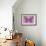 Miss Butterfly Genutia - Pink-Philippe Hugonnard-Framed Photographic Print displayed on a wall