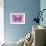 Miss Butterfly Genutia - Pink-Philippe Hugonnard-Framed Photographic Print displayed on a wall