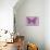 Miss Butterfly Genutia - Pink-Philippe Hugonnard-Stretched Canvas displayed on a wall
