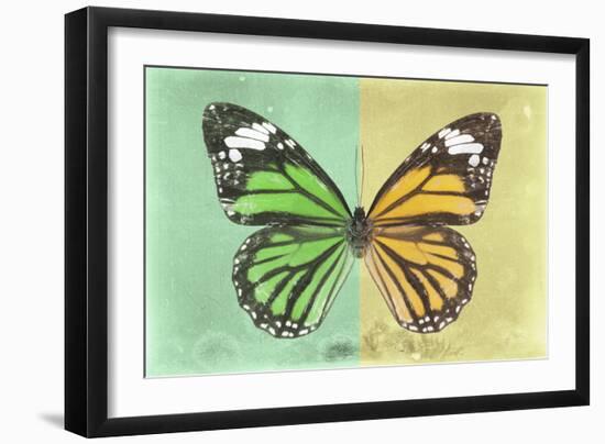Miss Butterfly Genutia Profil - Green & Yellow-Philippe Hugonnard-Framed Photographic Print