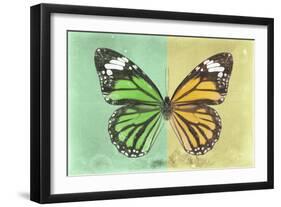 Miss Butterfly Genutia Profil - Green & Yellow-Philippe Hugonnard-Framed Photographic Print