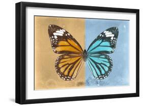 Miss Butterfly Genutia Profil - Honey & Blue-Philippe Hugonnard-Framed Photographic Print