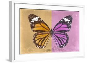 Miss Butterfly Genutia Profil - Honey & Pink-Philippe Hugonnard-Framed Photographic Print