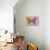 Miss Butterfly Genutia Profil - Honey & Pink-Philippe Hugonnard-Stretched Canvas displayed on a wall
