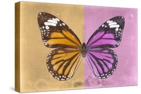 Miss Butterfly Genutia Profil - Honey & Pink-Philippe Hugonnard-Stretched Canvas