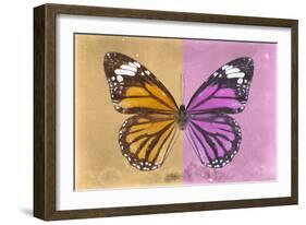 Miss Butterfly Genutia Profil - Honey & Pink-Philippe Hugonnard-Framed Photographic Print