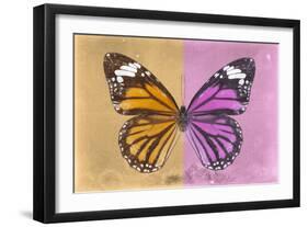 Miss Butterfly Genutia Profil - Honey & Pink-Philippe Hugonnard-Framed Photographic Print