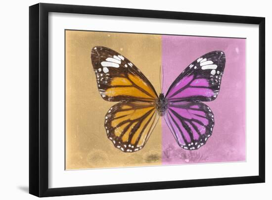 Miss Butterfly Genutia Profil - Honey & Pink-Philippe Hugonnard-Framed Photographic Print