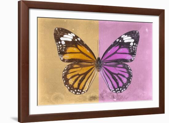 Miss Butterfly Genutia Profil - Honey & Pink-Philippe Hugonnard-Framed Photographic Print