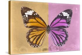 Miss Butterfly Genutia Profil - Honey & Pink-Philippe Hugonnard-Stretched Canvas