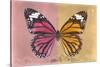 Miss Butterfly Genutia Profil - Hot Pink & Honey-Philippe Hugonnard-Stretched Canvas