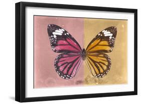 Miss Butterfly Genutia Profil - Hot Pink & Honey-Philippe Hugonnard-Framed Photographic Print