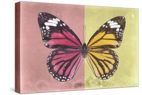 Miss Butterfly Genutia Profil - Hot Pink & Yellow-Philippe Hugonnard-Stretched Canvas