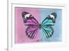 Miss Butterfly Genutia Profil - Pink & Blue-Philippe Hugonnard-Framed Photographic Print