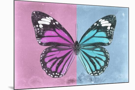 Miss Butterfly Genutia Profil - Pink & Blue-Philippe Hugonnard-Mounted Photographic Print