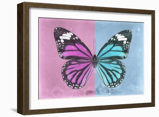 Miss Butterfly Genutia Profil - Pink & Blue-Philippe Hugonnard-Framed Photographic Print