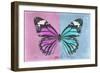 Miss Butterfly Genutia Profil - Pink & Blue-Philippe Hugonnard-Framed Photographic Print