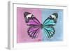 Miss Butterfly Genutia Profil - Pink & Blue-Philippe Hugonnard-Framed Photographic Print