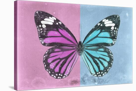 Miss Butterfly Genutia Profil - Pink & Blue-Philippe Hugonnard-Stretched Canvas