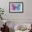 Miss Butterfly Genutia Profil - Pink & Blue-Philippe Hugonnard-Framed Photographic Print displayed on a wall