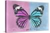 Miss Butterfly Genutia Profil - Pink & Blue-Philippe Hugonnard-Stretched Canvas