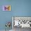 Miss Butterfly Genutia Profil - Purple & Honey-Philippe Hugonnard-Photographic Print displayed on a wall